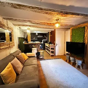  Appartement T3 Boheme - Vieille France